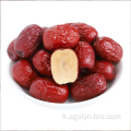 Nouveaux dates de jujube séché à la récolte à vendre